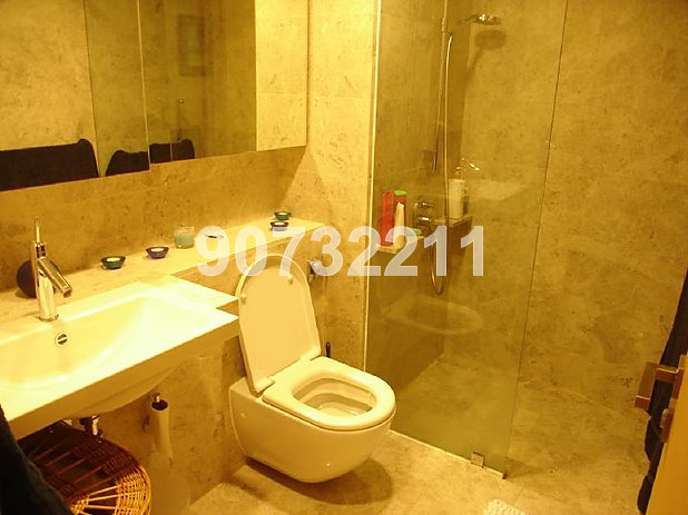 One Shenton (D1), Apartment #13324552